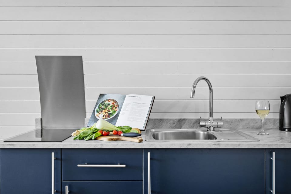 Countertop with an electric hob and sink - Kingston Black Pod