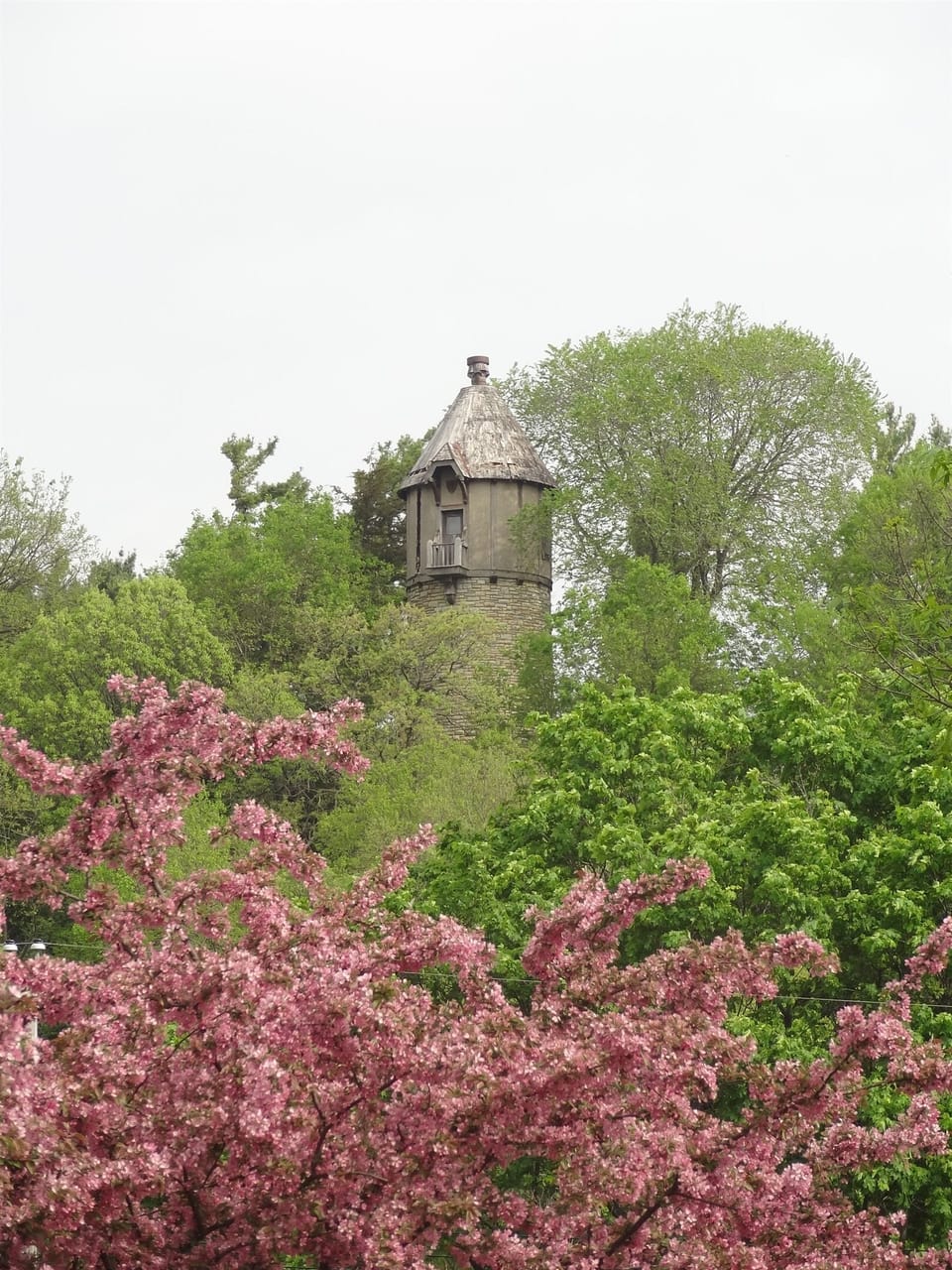 View from our front yard of Plummer House tower.