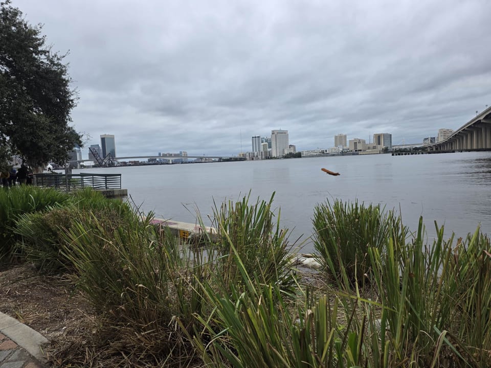 Gorgeous view of St. Johns River from sidewalk at Riverside Arts Market