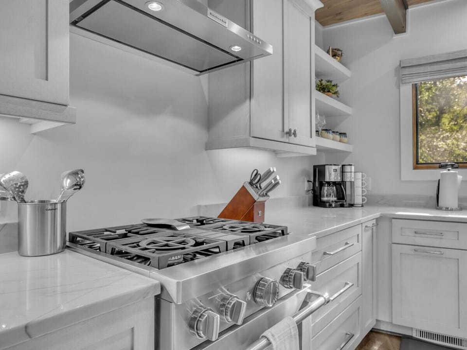 Stainless steel, gas stove and oven.