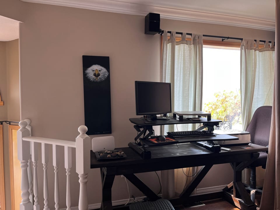 Hook up your laptop to second monitor & printer. Office chair or stand up desk.
