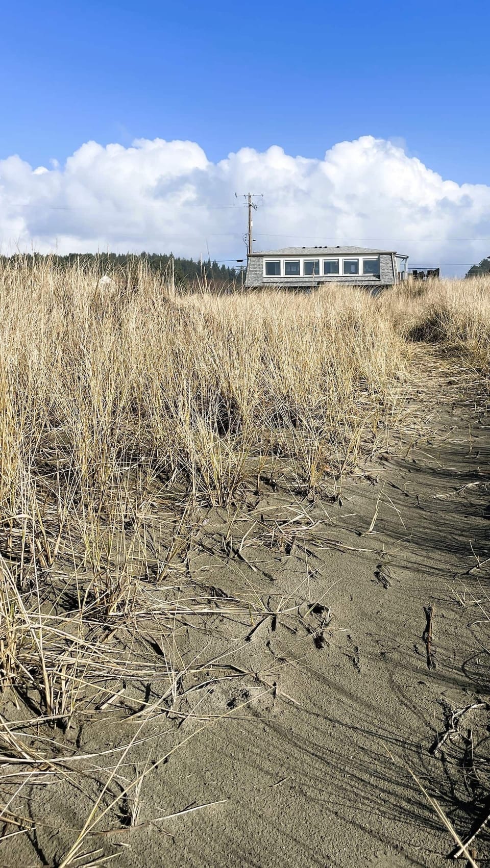 Come enjoy the beach (our private path to the house).