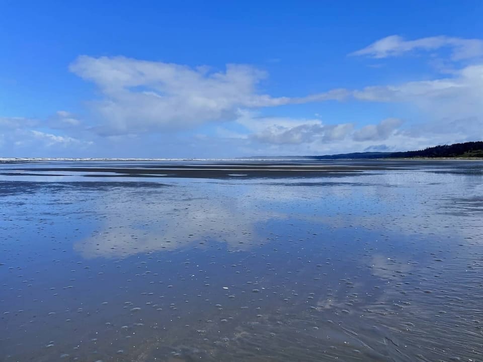 The best razor clam beach in Washington. 