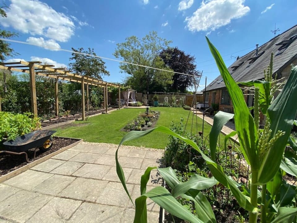 View from the potting shed. The garden is secure and has lots of places to sit.
