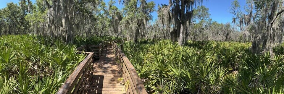 Picture from George C. McGough park, which is walking distance. It's a nature reserve with animals everywhere. It's so much fun and free!