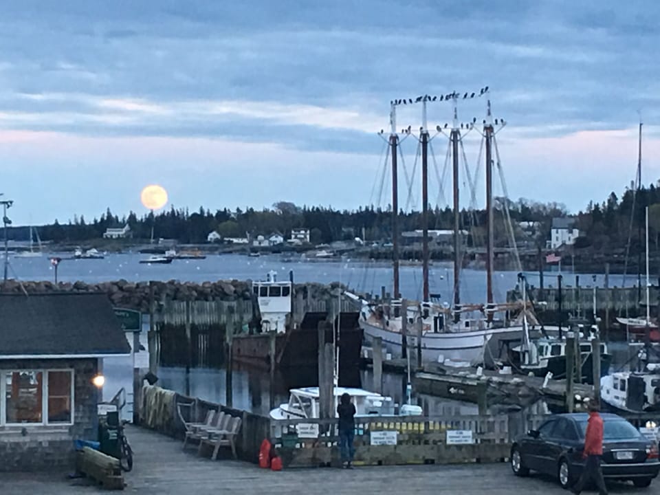 Harbor views