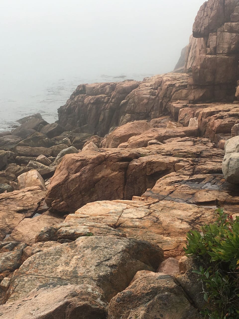 Within a 25 minute drive to Bar Harbor and most Acadia park sites. 