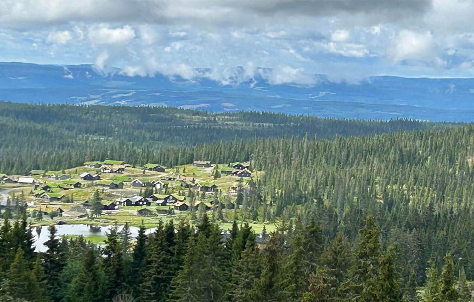 area