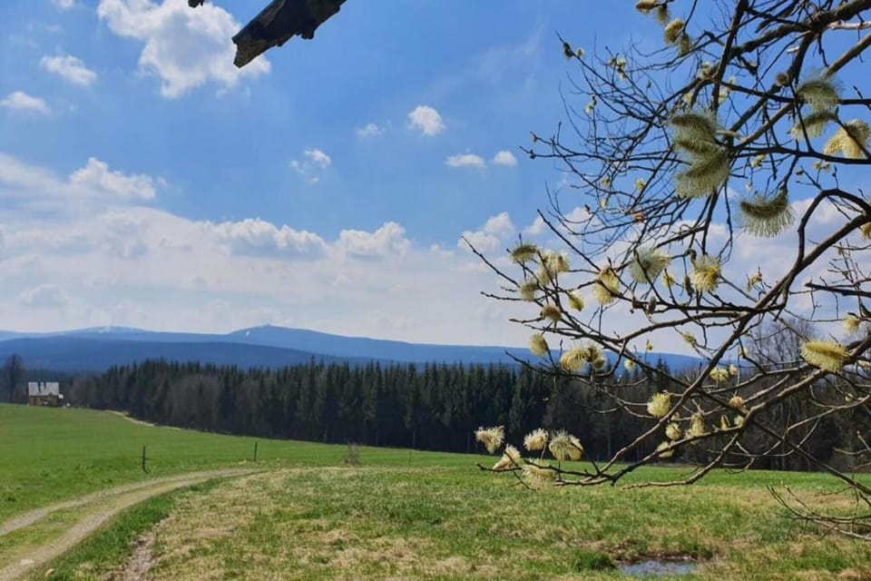 Region [summer] (>5 km)