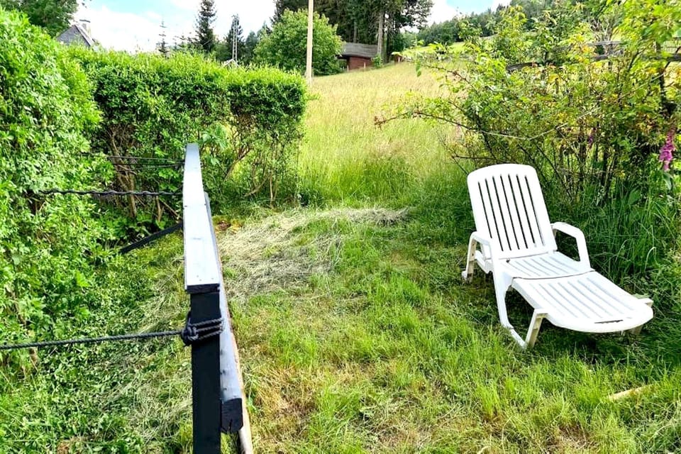 Garden [summer]