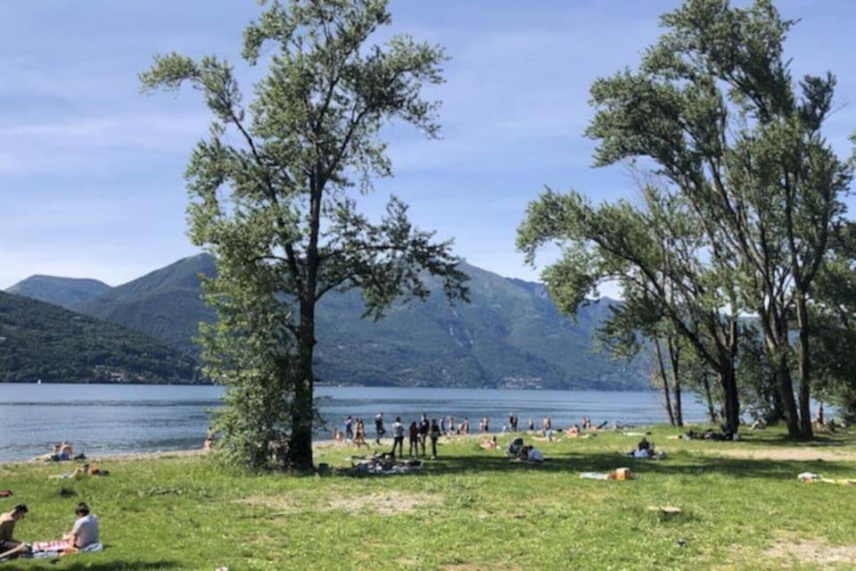 Region [summer] (>5 km)