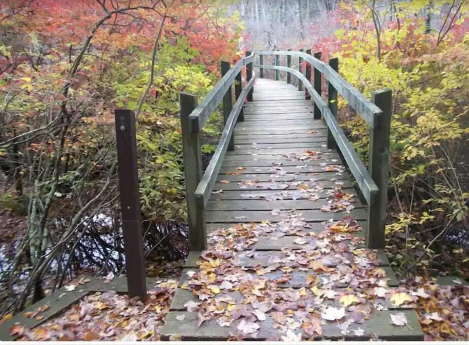 Ferry Beach State Park (3 miles) 