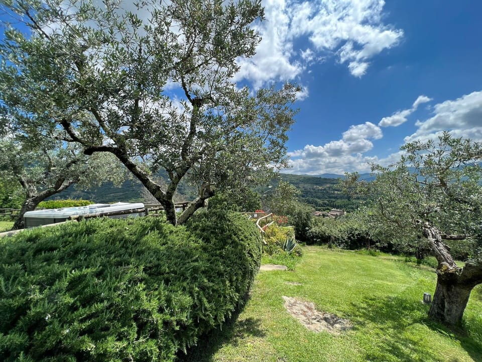 Garden and outdoor view