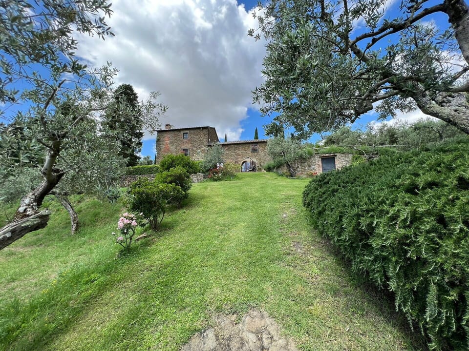Garden and outdoor view
