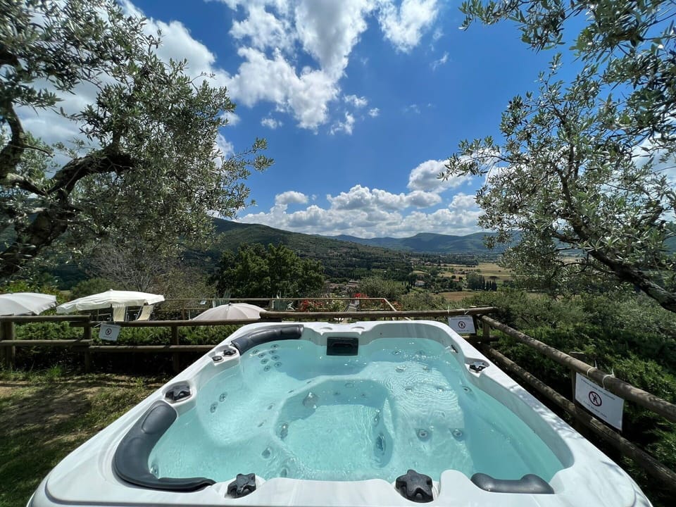 Hydromassage bathtub