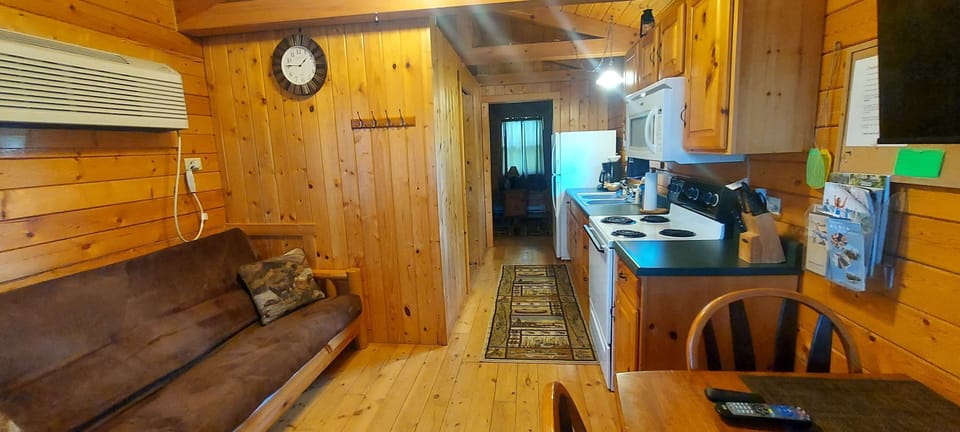 Open living room/kitchen area