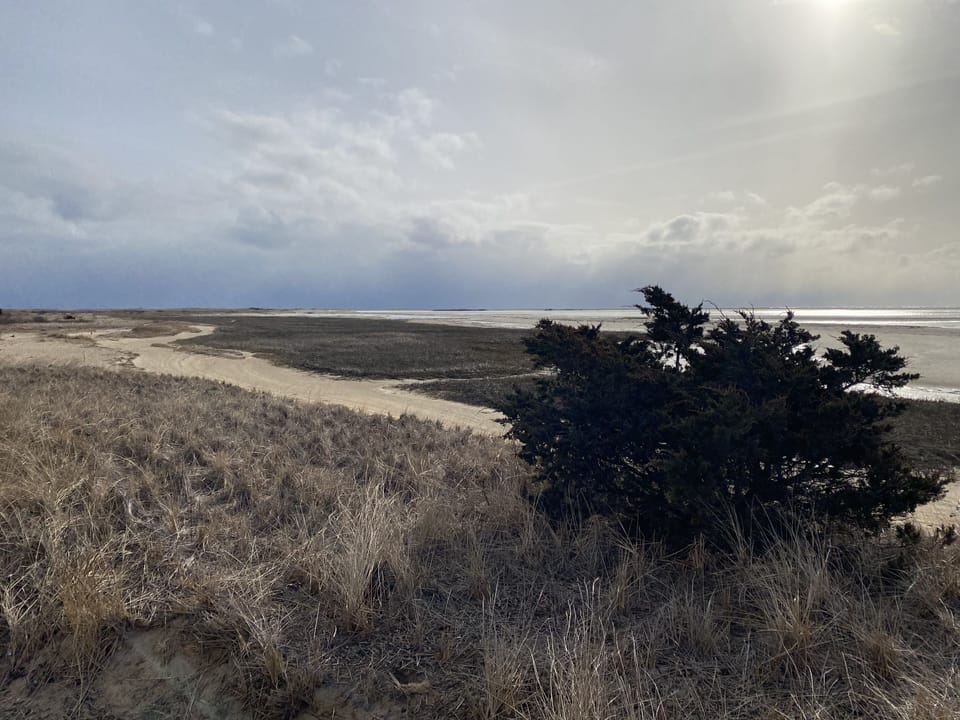Path to light house beach