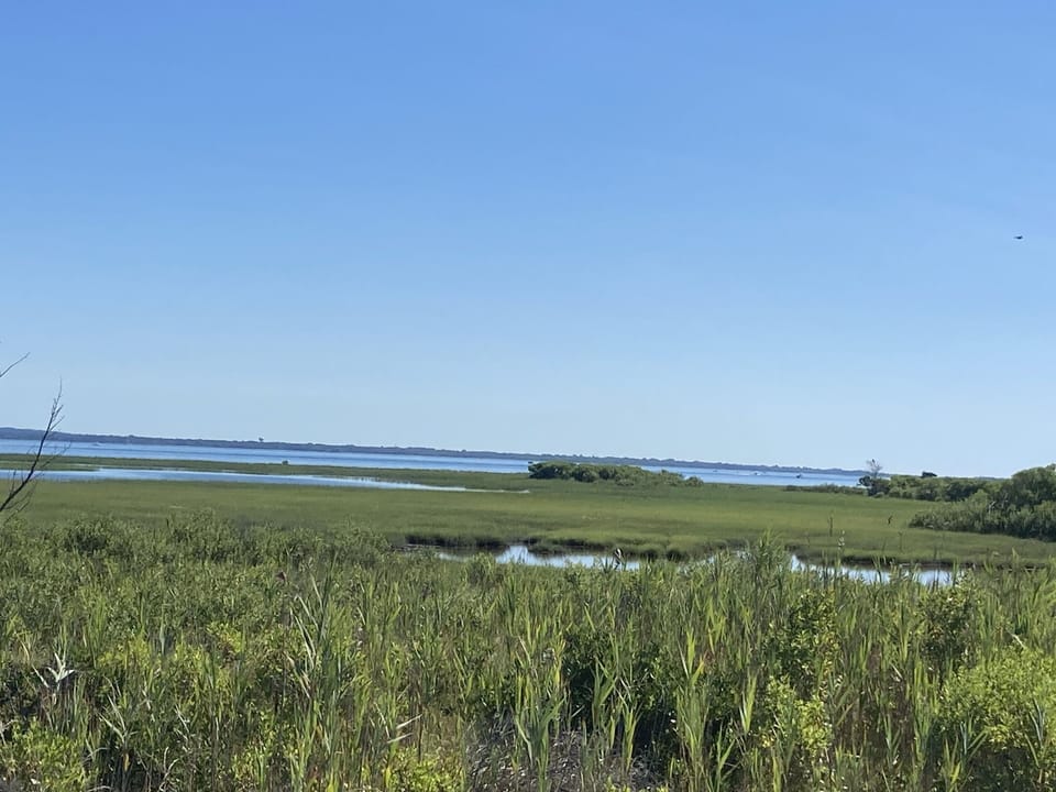Wetlands