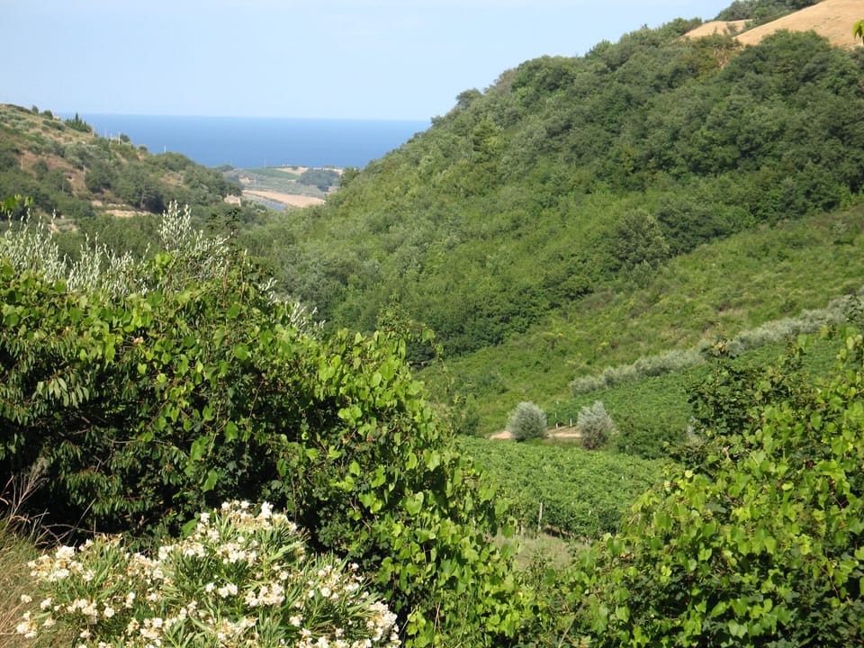 View to sea