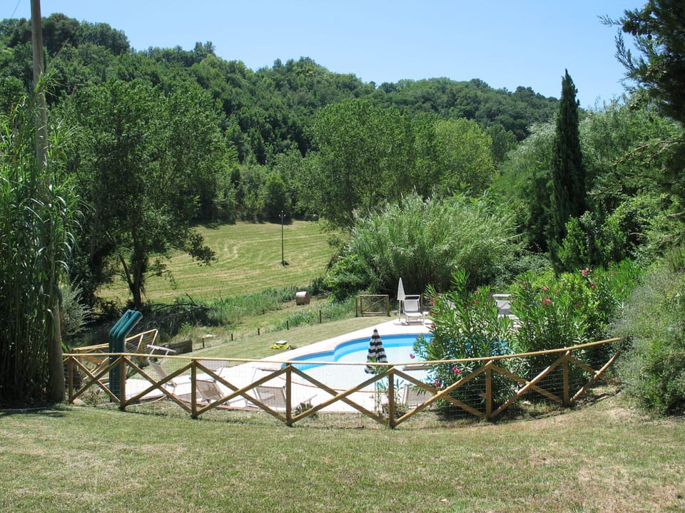 Pool and land from House