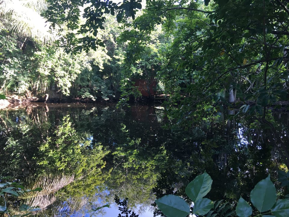 Lagoon 2
