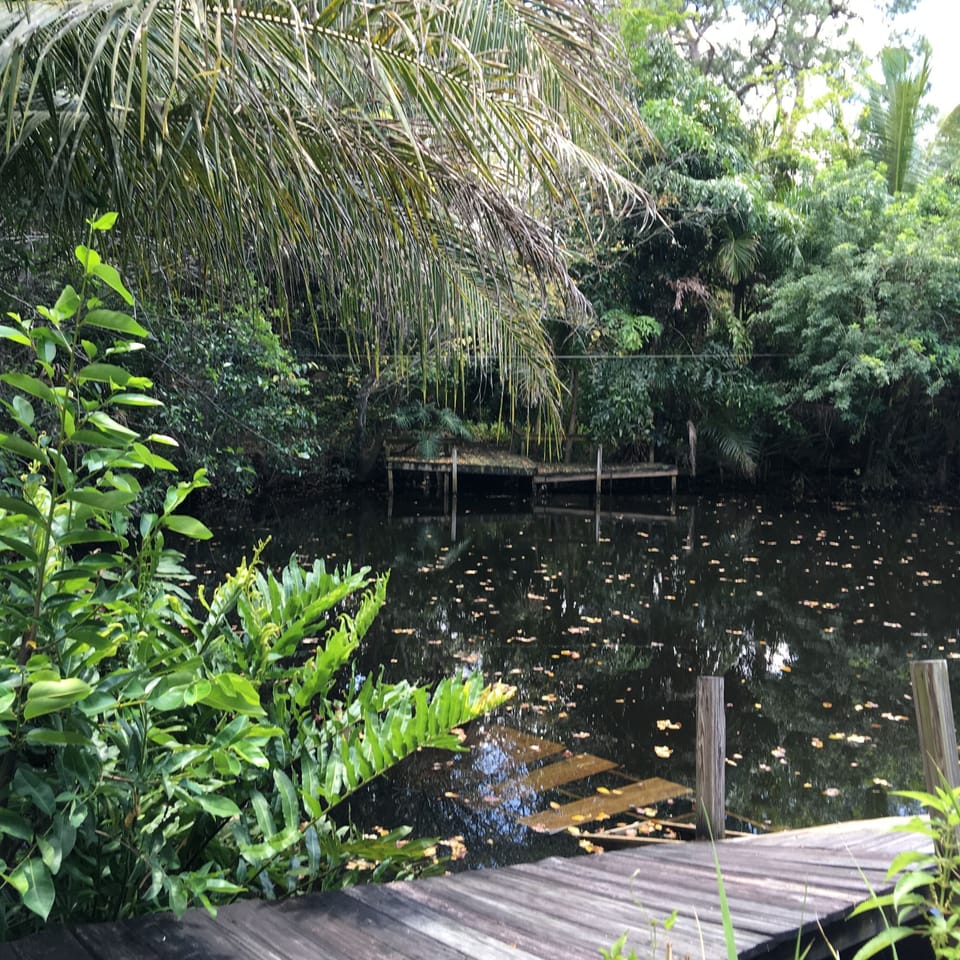 Lagoon