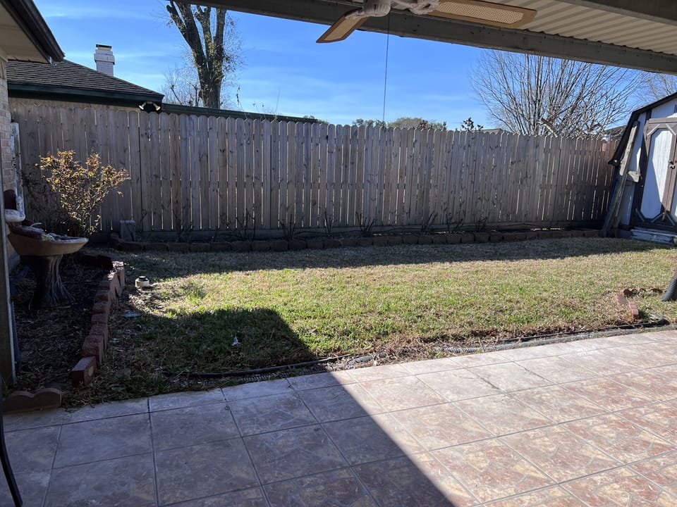 Backyard