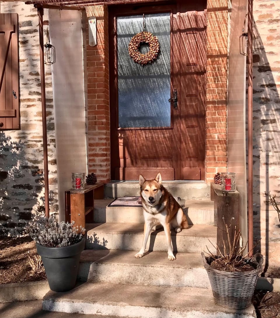 A dog is welcome