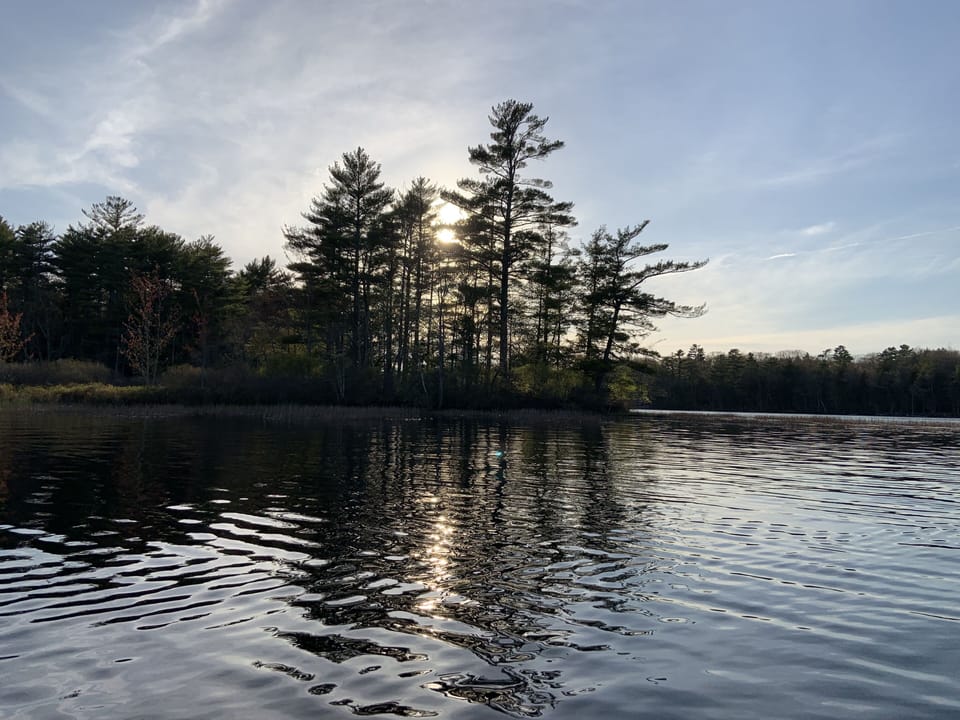 Light on the pond