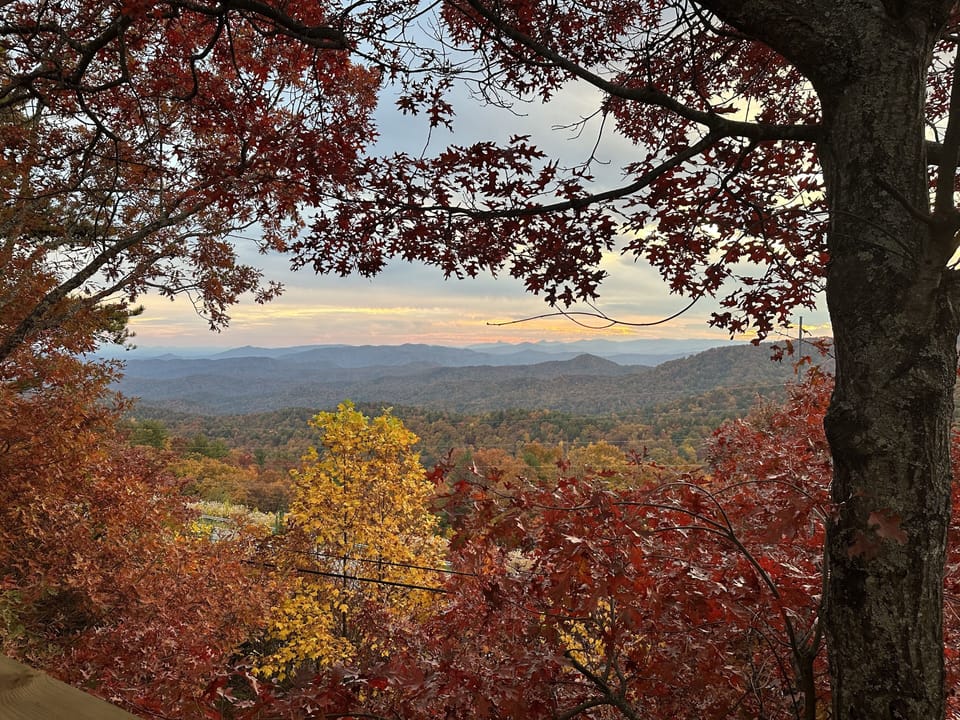 View from property