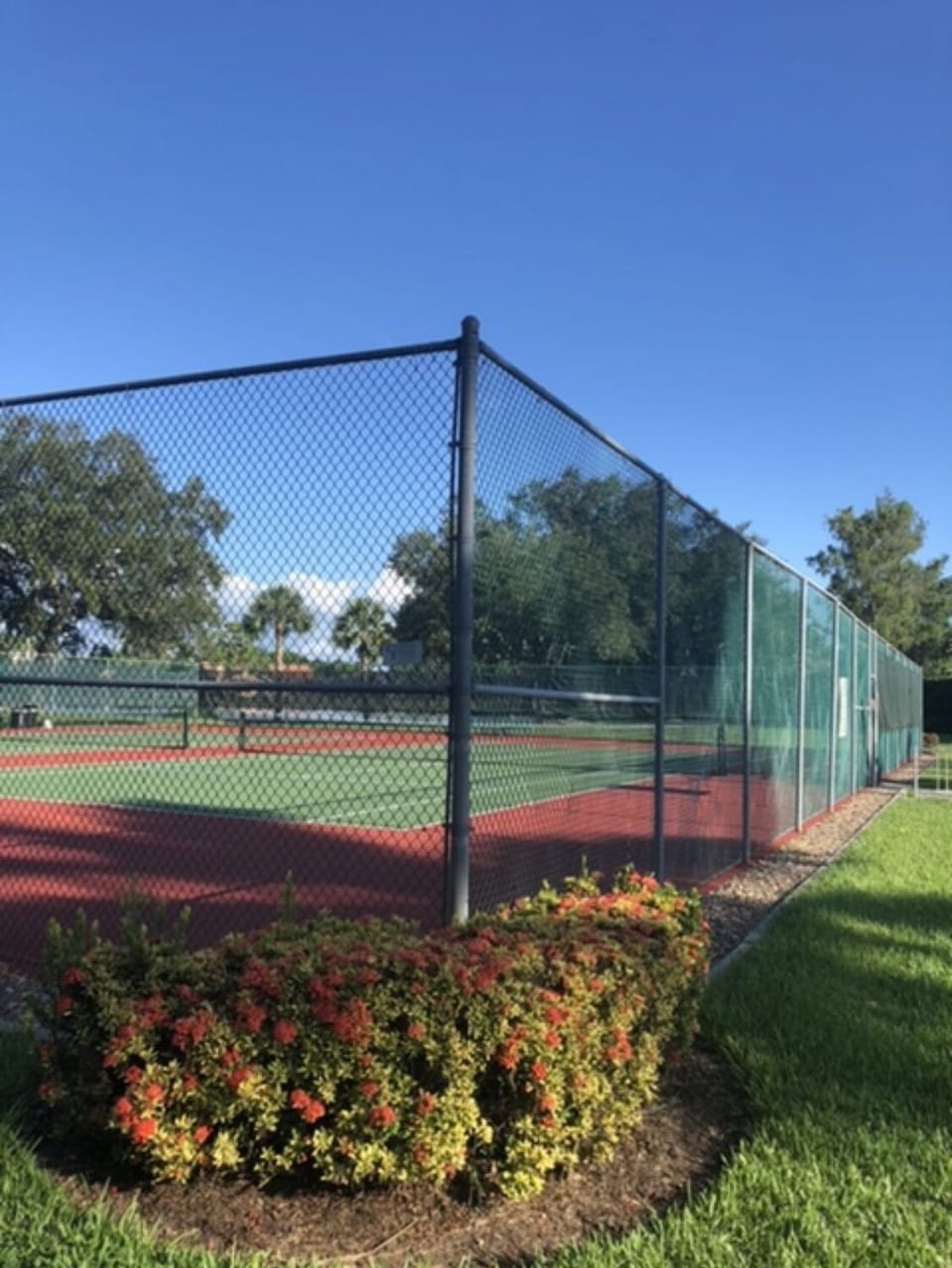 Sport court