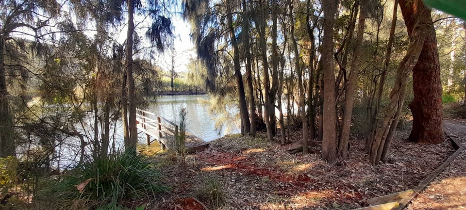Conjola creek walking track