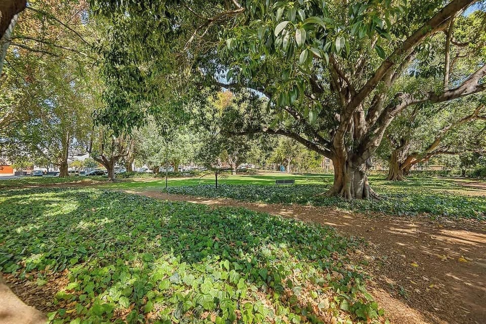 Immerse yourself in the beauty of the outdoors with this delightful nature garden view, providing a peaceful and picturesque setting for your relaxation.