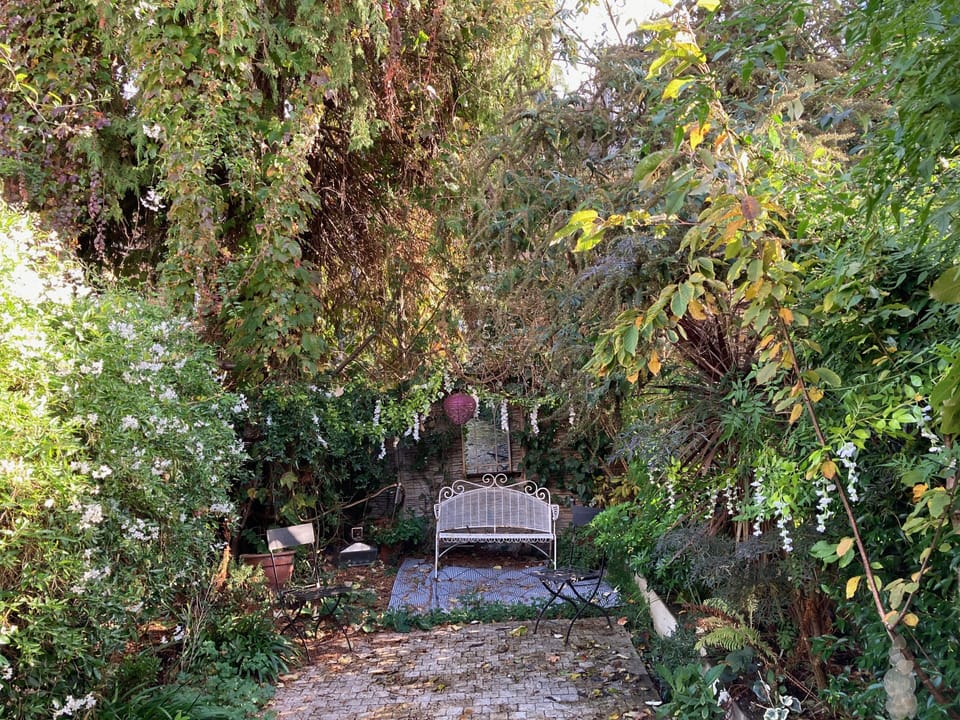 Back Garden