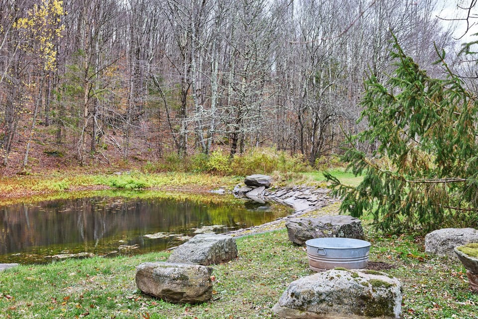 Pond
