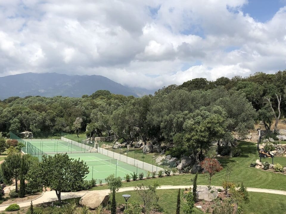 Sport court