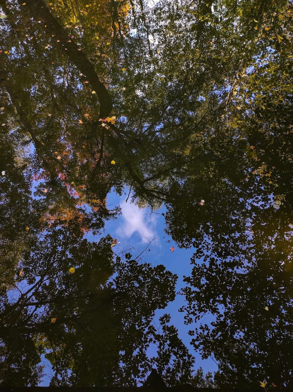Image 18