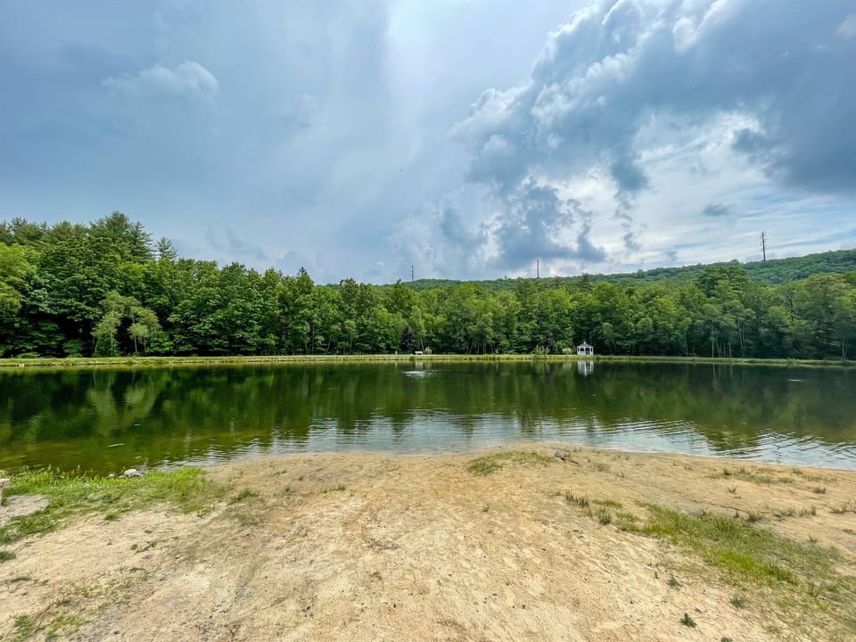 Mill Pond