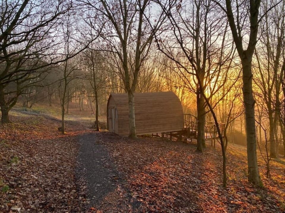 Cabin in the woods