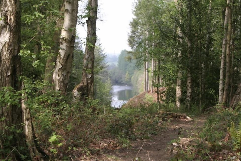 Nearby Hackfall Woods