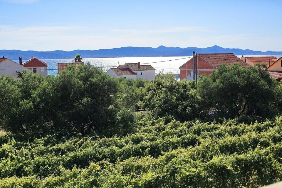 View from the property