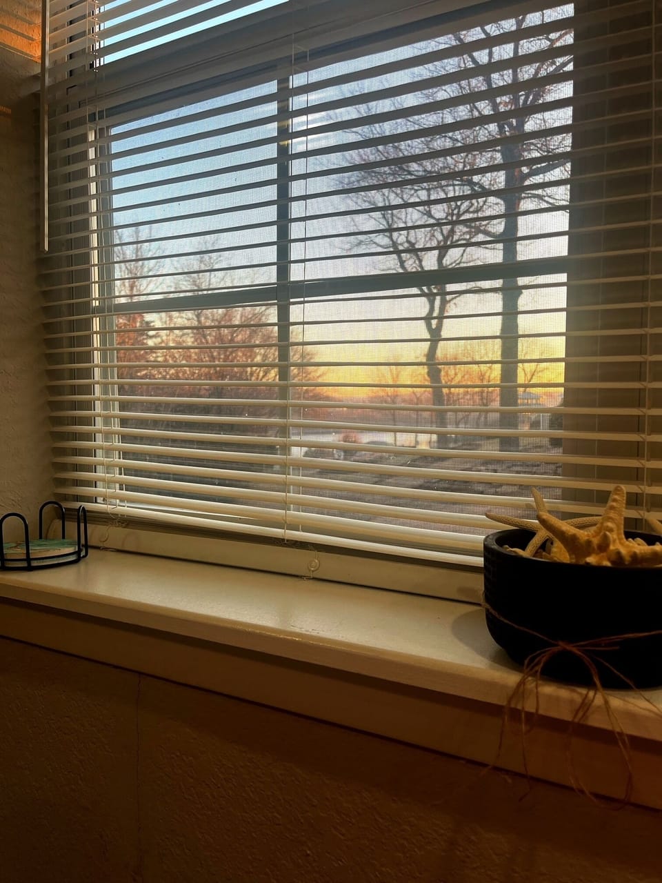 View from the living room window