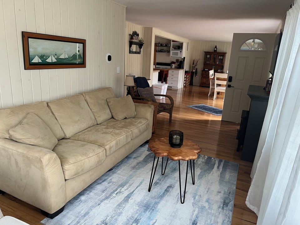 Living room w/pull out couch