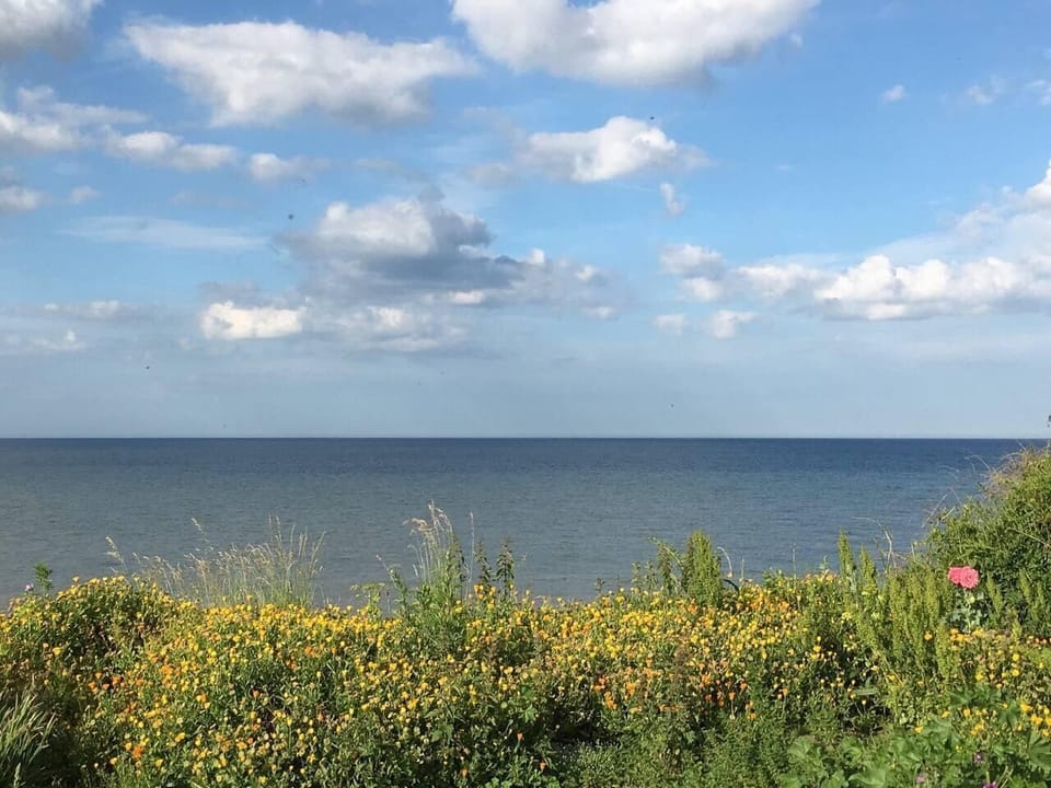 Image 27