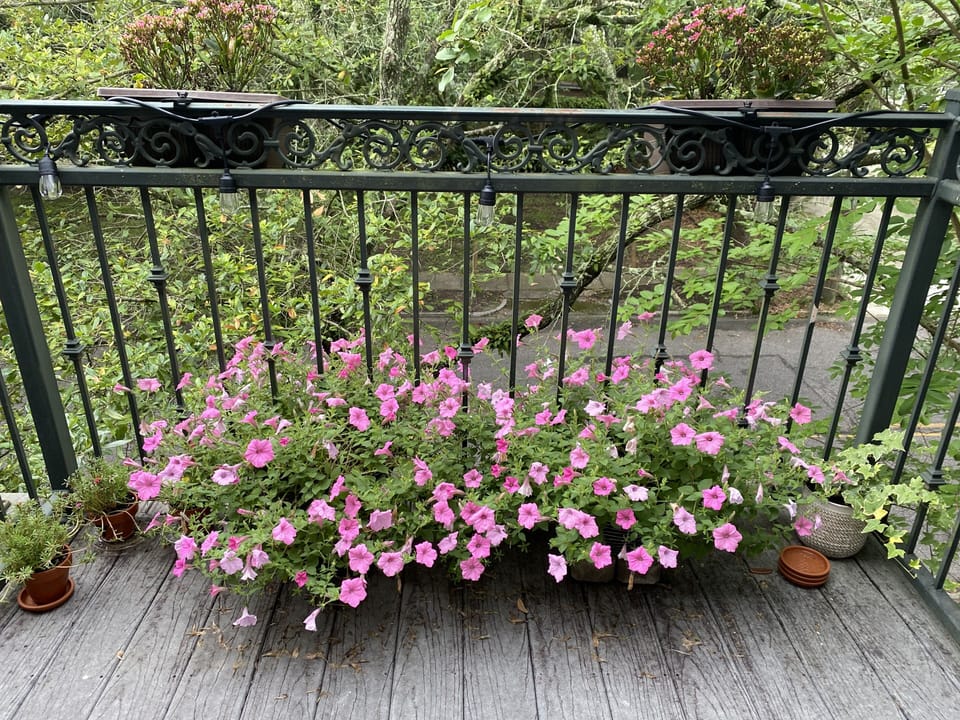 Front balcony 