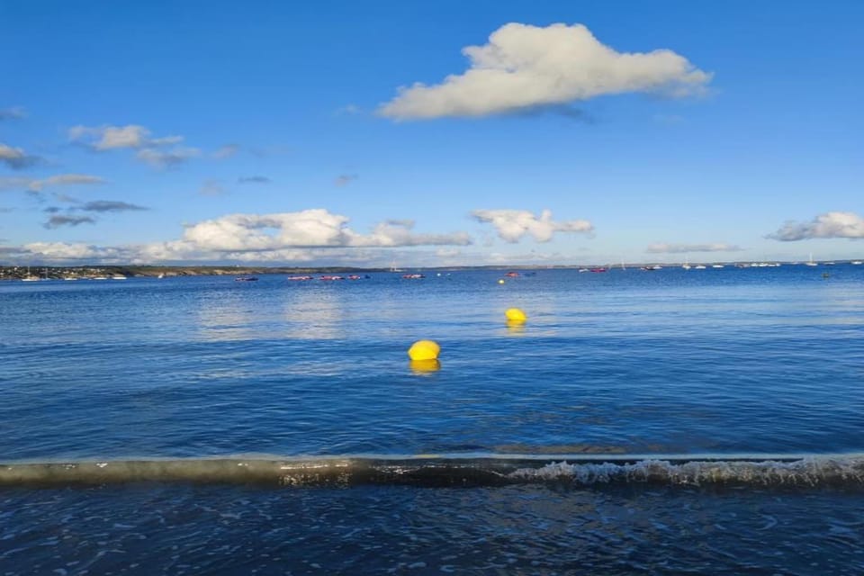 Region [summer] (>5 km)