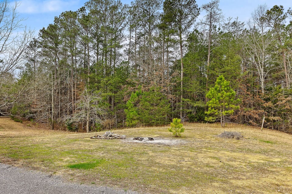 backyard/fire pit area