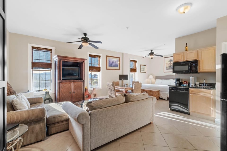 Living area with sleeper sofa