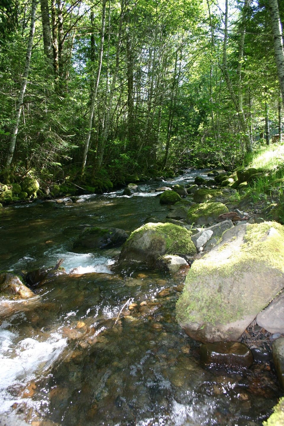 Copper Creek right in your back yard