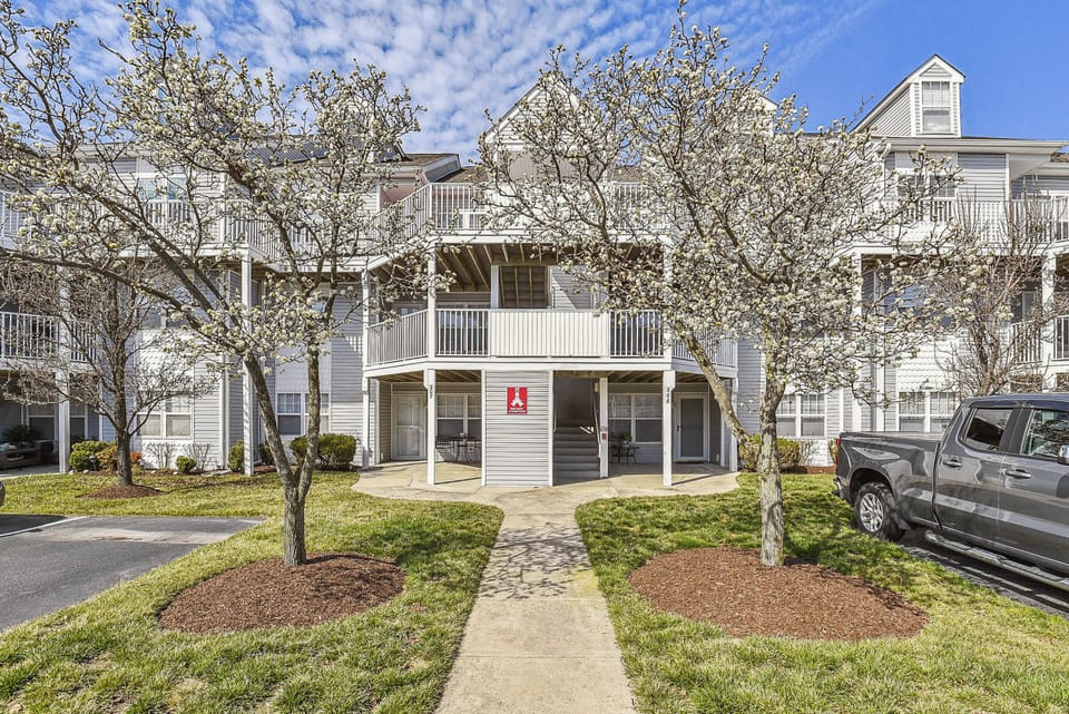 Exterior,Front Yard,